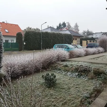 Sedmikraska *
