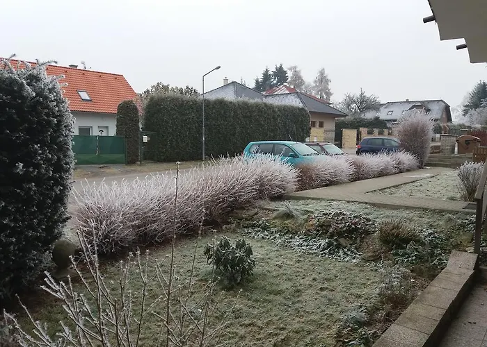 Sedmikraska *